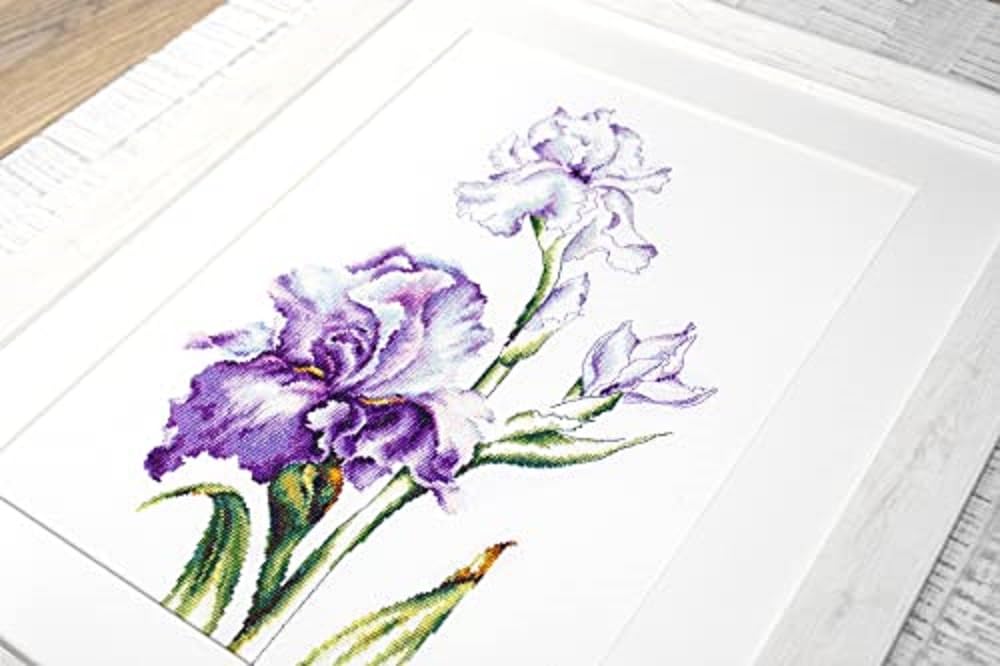 LUCAS-S Irises Counted Cross Stitch Kit, Pack of 1 - Image 3